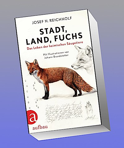 Stadt, Land, Fuchs