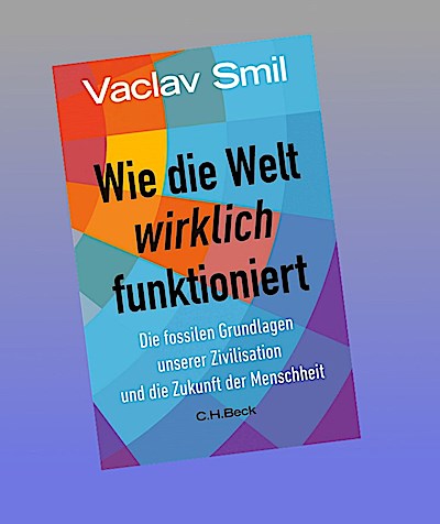 Wie die Welt wirklich funktioniert