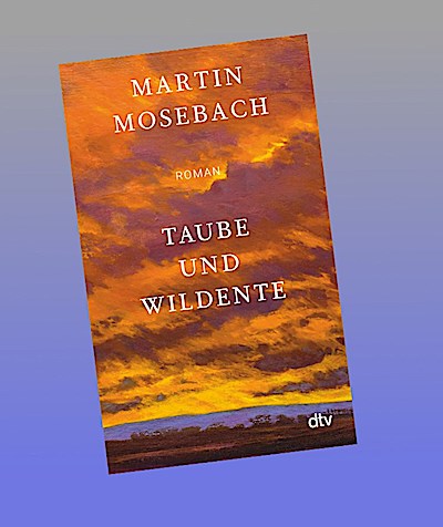 Taube und Wildente