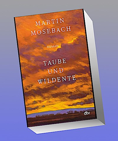 Taube und Wildente