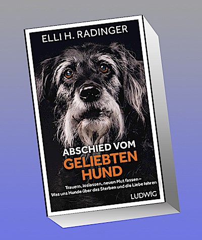 Abschied vom geliebten Hund