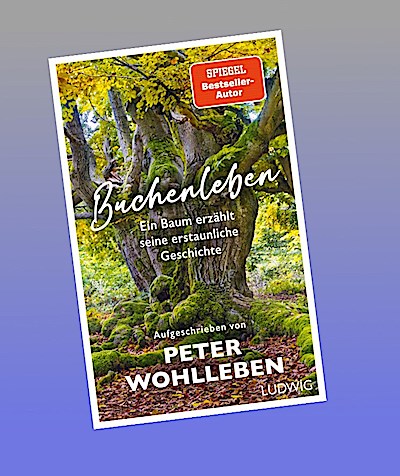 Buchenleben