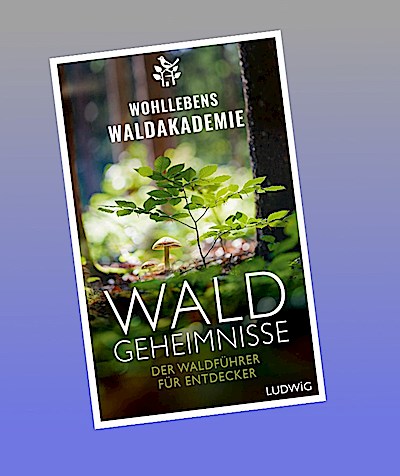 Waldgeheimnisse