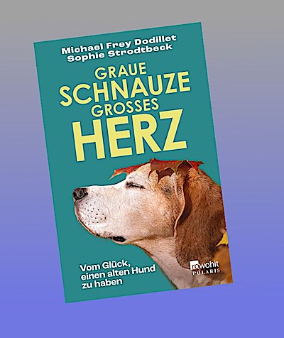 Graue Schnauze, großes Herz