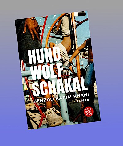 Hund, Wolf, Schakal