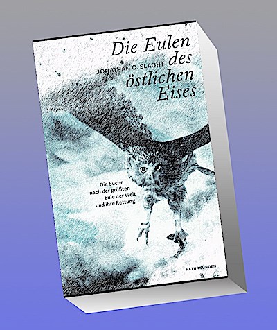 Die Eulen des östlichen Eises