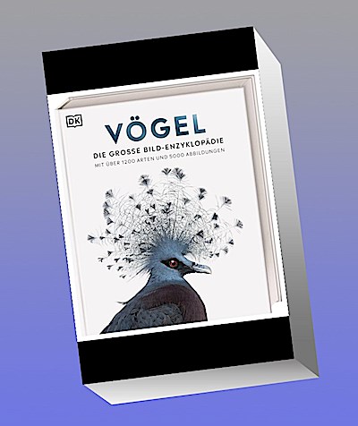 Vögel