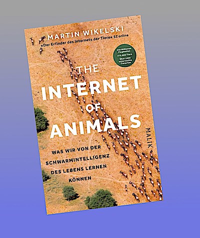 The Internet of Animals: Was wir von der Schwarmintelligenz des Lebens lernen können